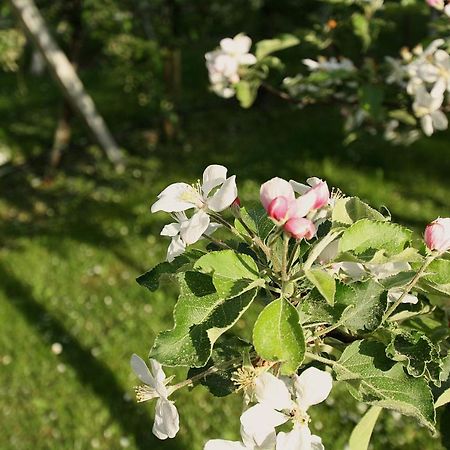 Pension Bauernhof Spielmann 미에밍 외부 사진
